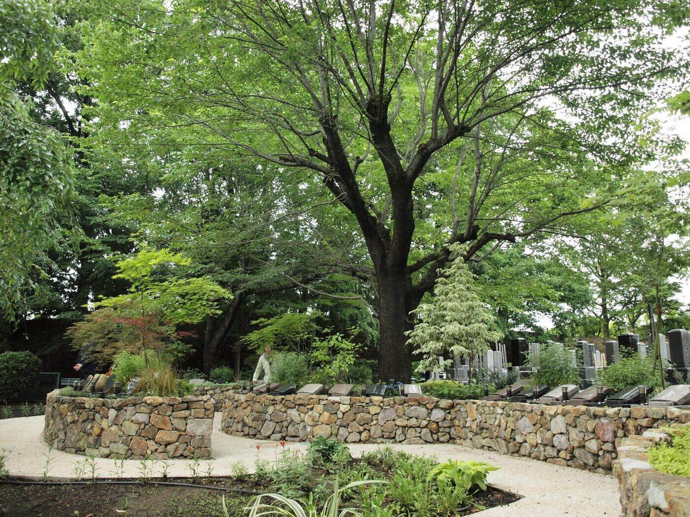 多摩さくら庭苑（東京都多摩市・妙櫻寺）の庭苑型樹木葬 大樹と石積みが囲む夏の庭