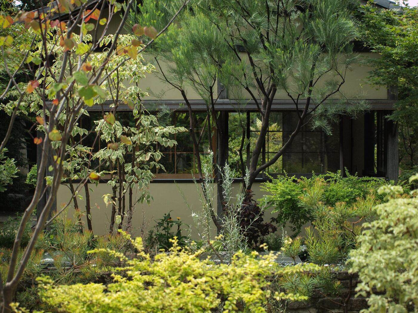 谷中庭苑の庭越しに望む延命院の建物